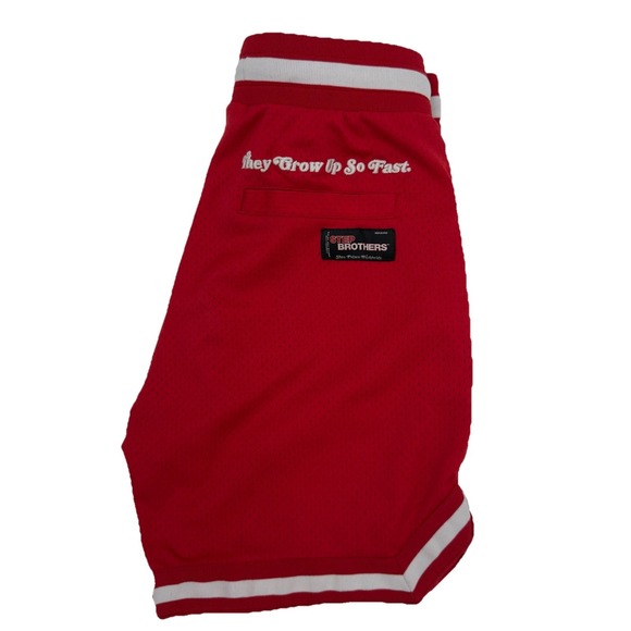 Step Brothers Movie Shoe‎ Palace Embroidered Basketball Shorts Sz Medium Red Y2K - Picture 1 of 8